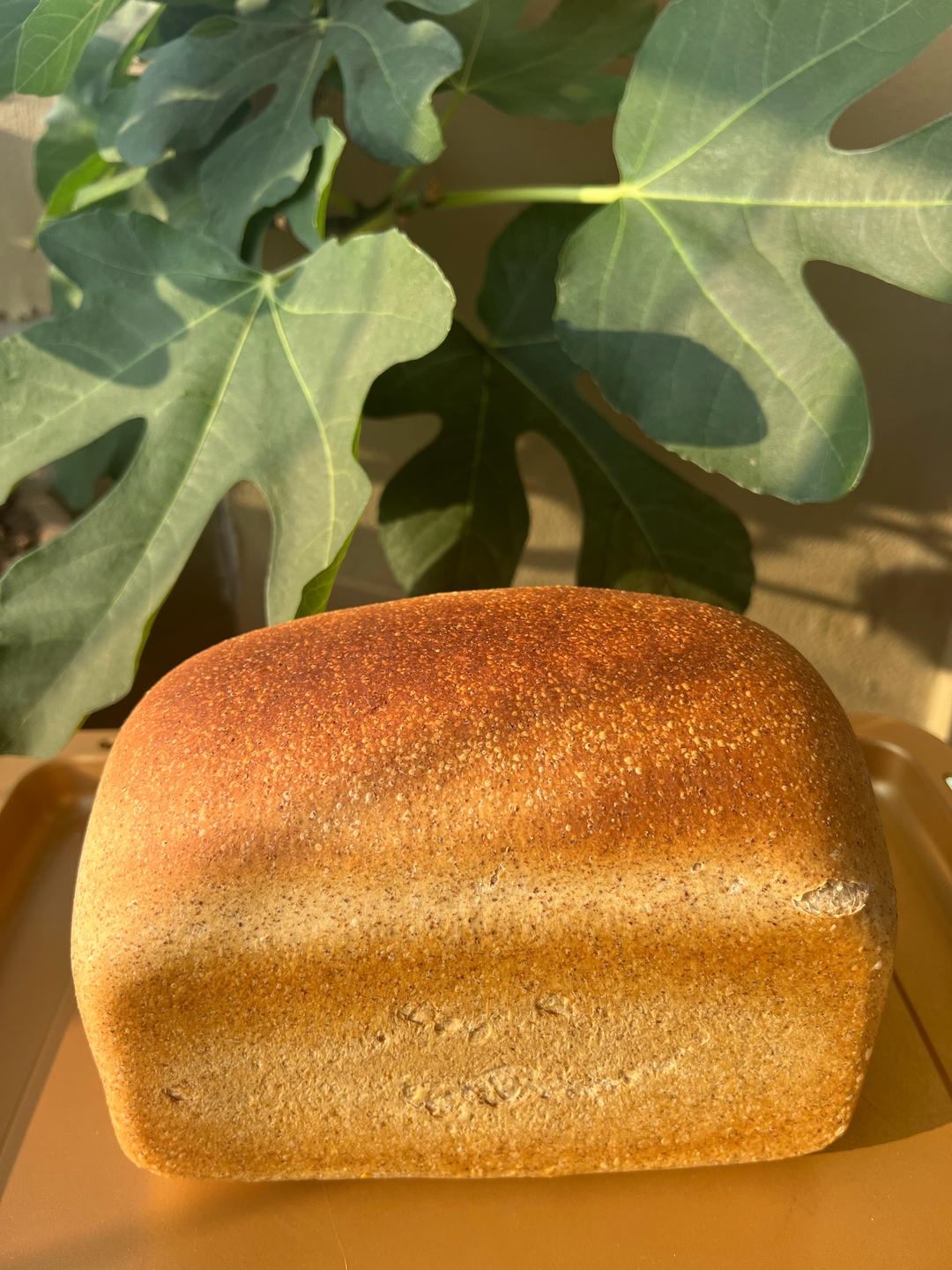 撸铁人定制食谱之练前餐：超级扎实黑麦面包