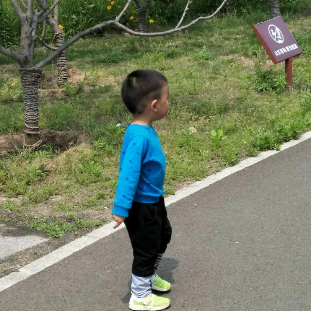 伊人在哪里