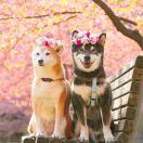 此昵称不存在_mkn1