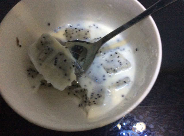 香草牛奶冻 Milk Jelly