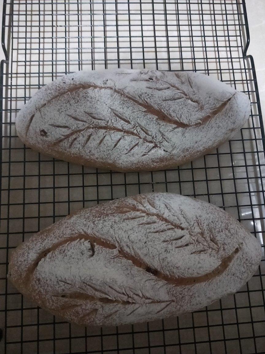 全麦核桃包～软欧包