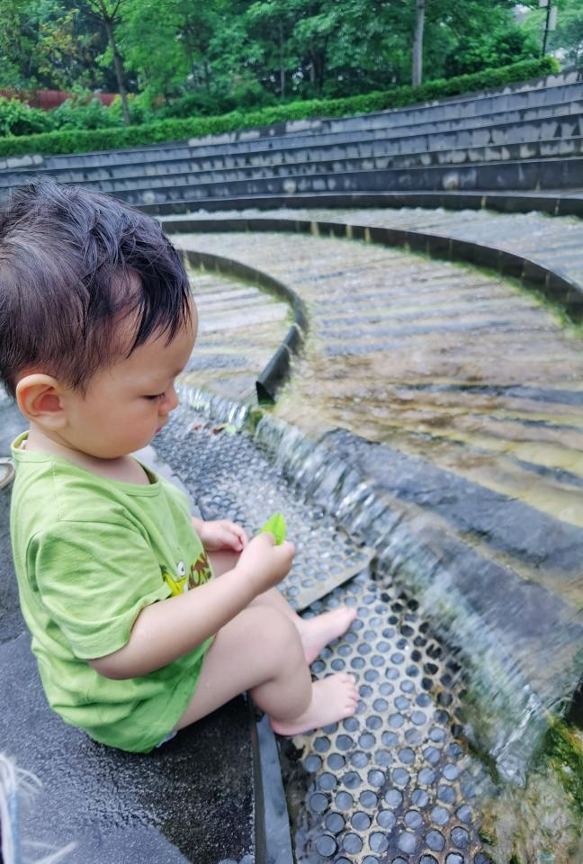 我的轻食餐打卡