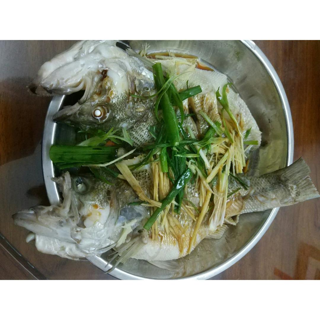 清蒸鲈鱼