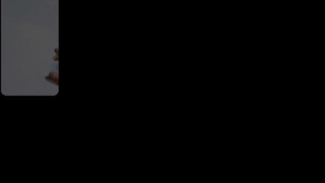 榛蘑焖饭