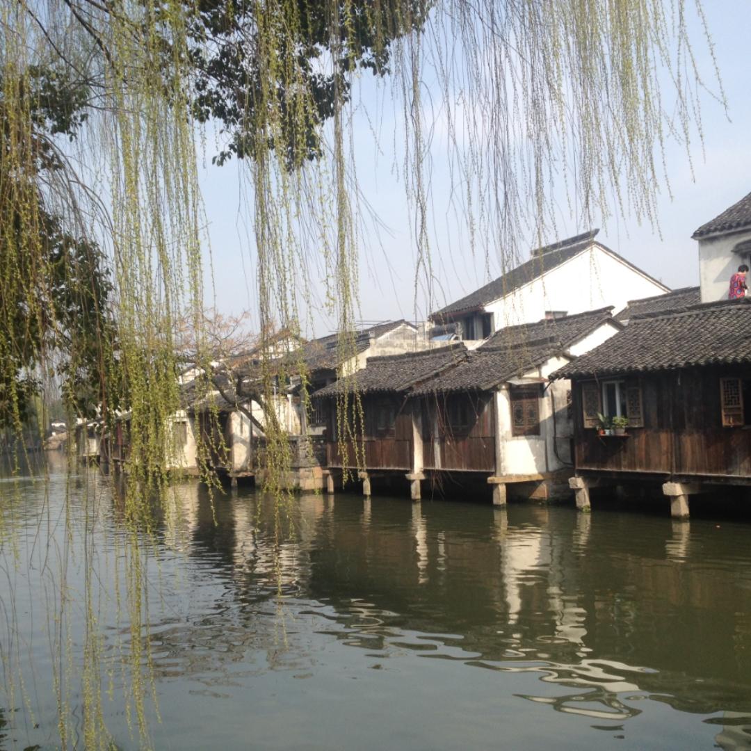 地狱来的厨神