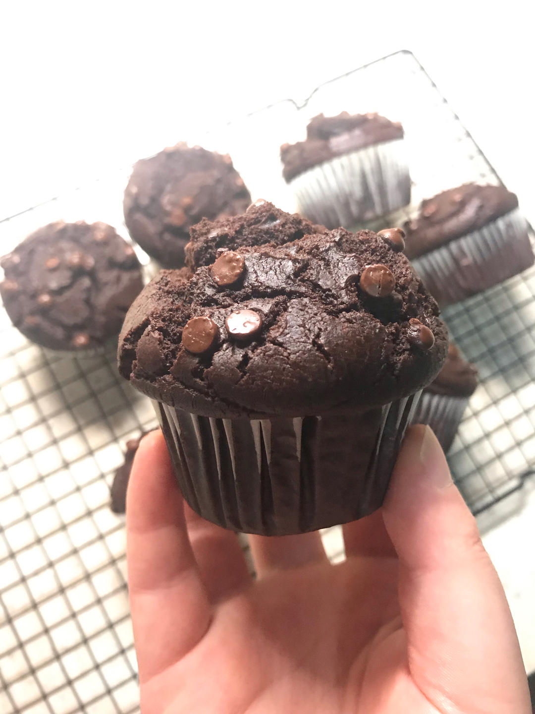 在家做巧克力蘑菇头麦芬蛋糕🍫