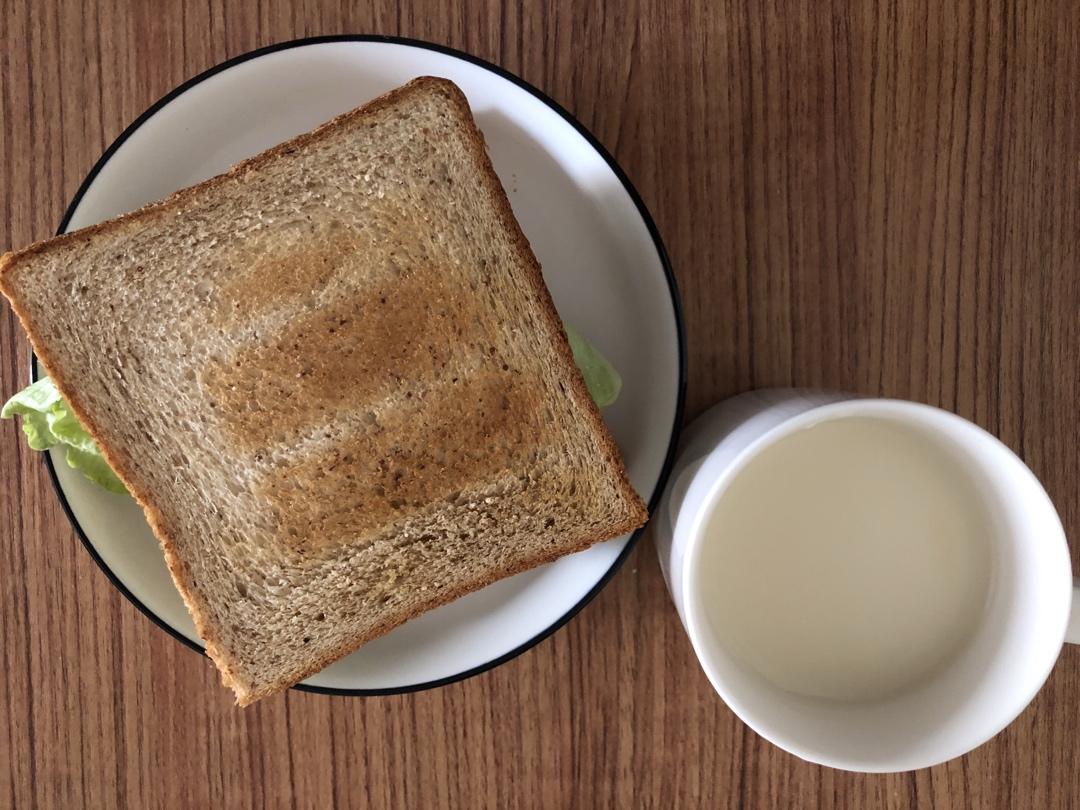 不规范Intermittent Fasting记录