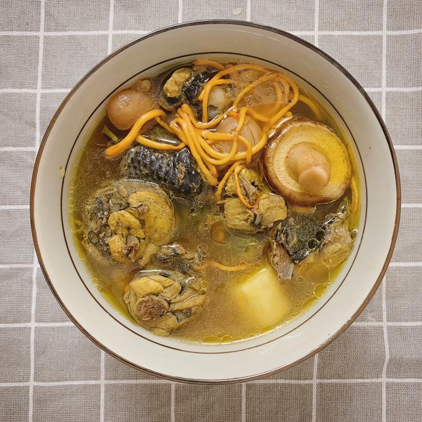 虫草花乌鸡汤