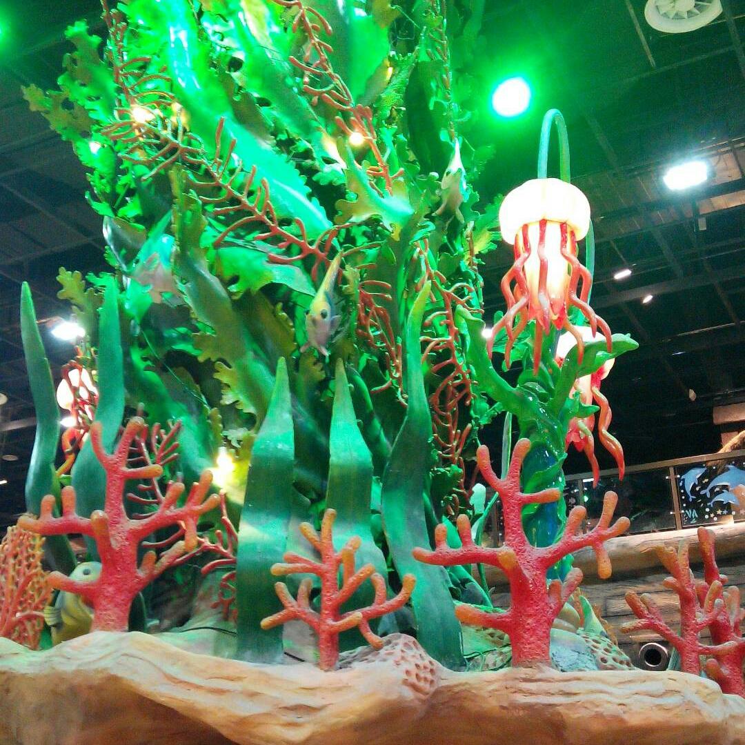 鱼儿鱼儿慢慢游