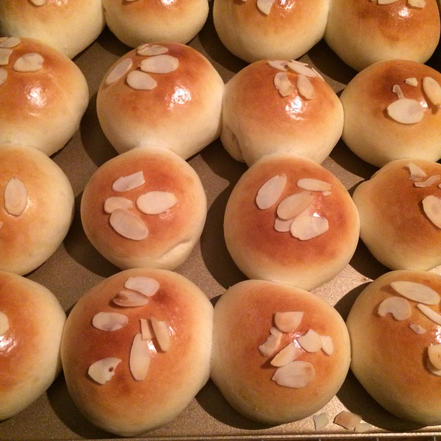 鲜奶油小餐包（一次发酵）