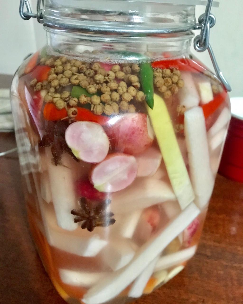 不易坏的四川泡菜（生水版）