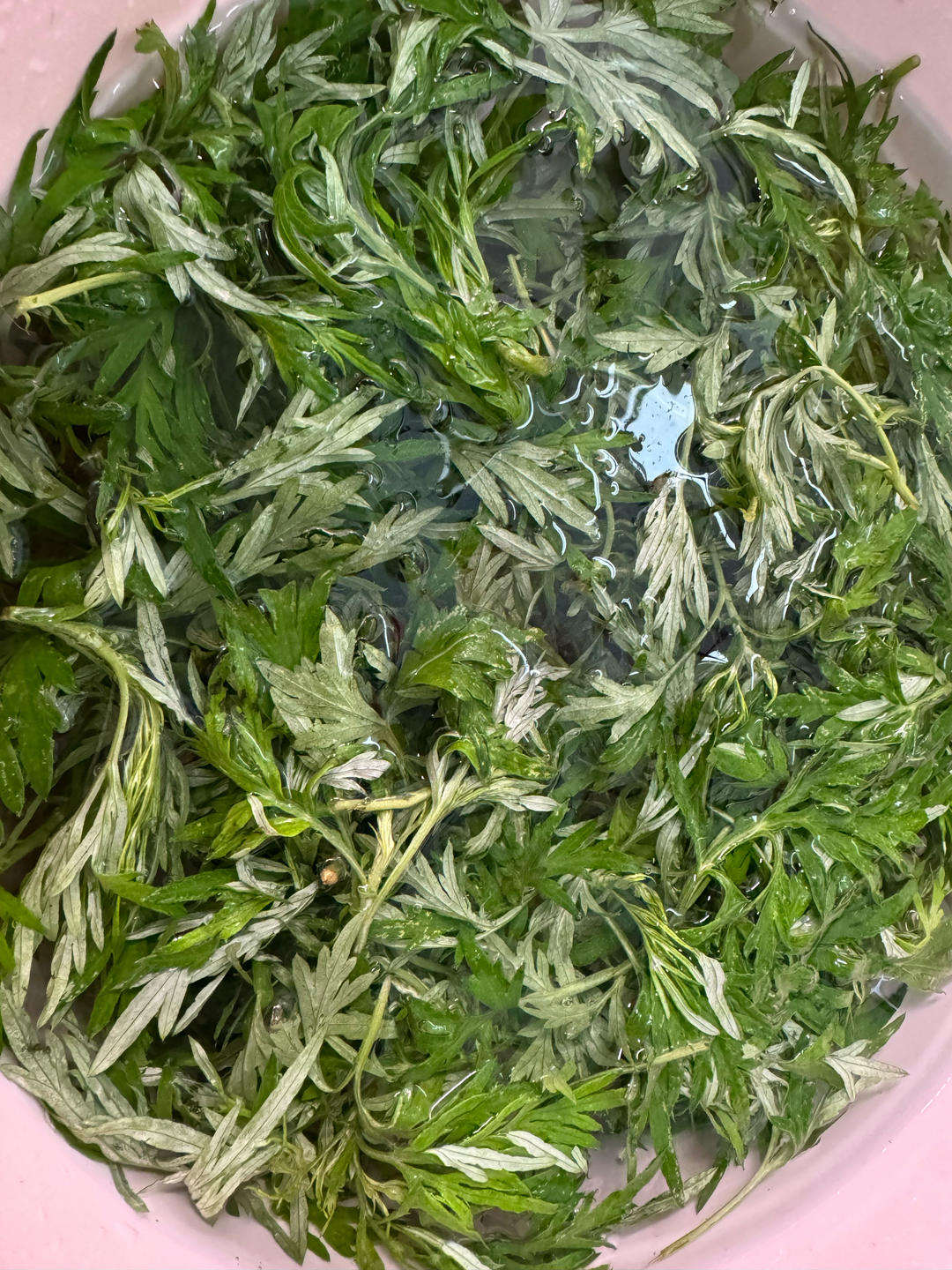 咸蛋黄肉松青团（艾糍）