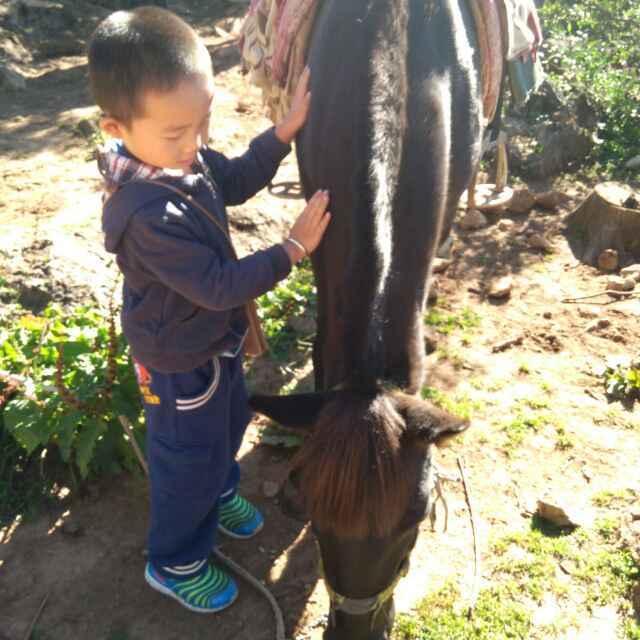 白春丽