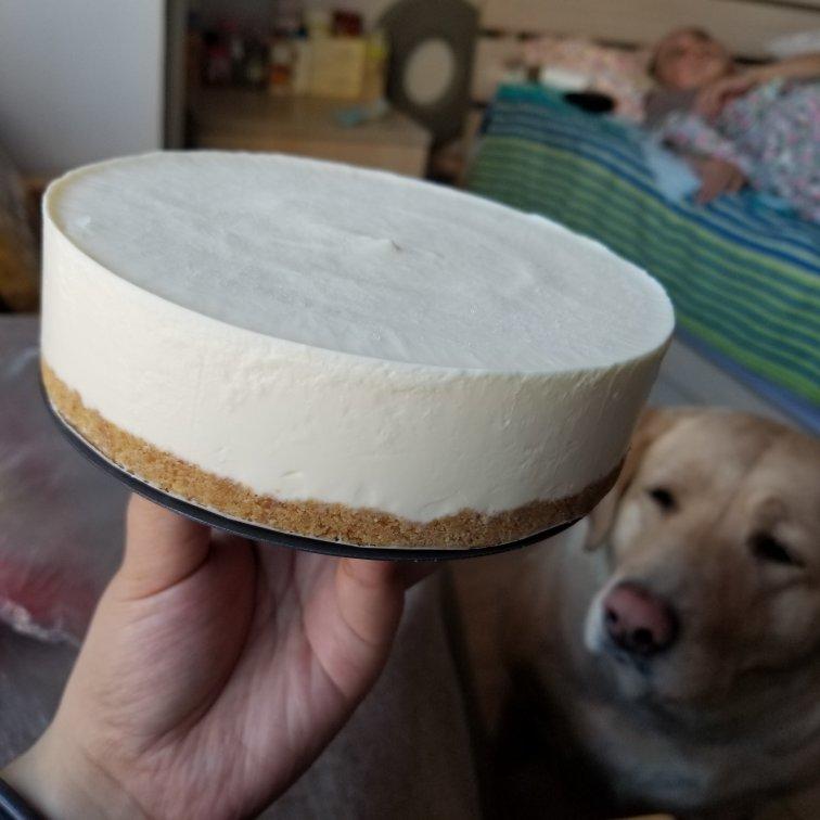 酸奶冻芝士蛋糕【曼食慢语】