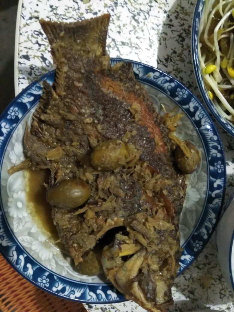 煎鱼🐠