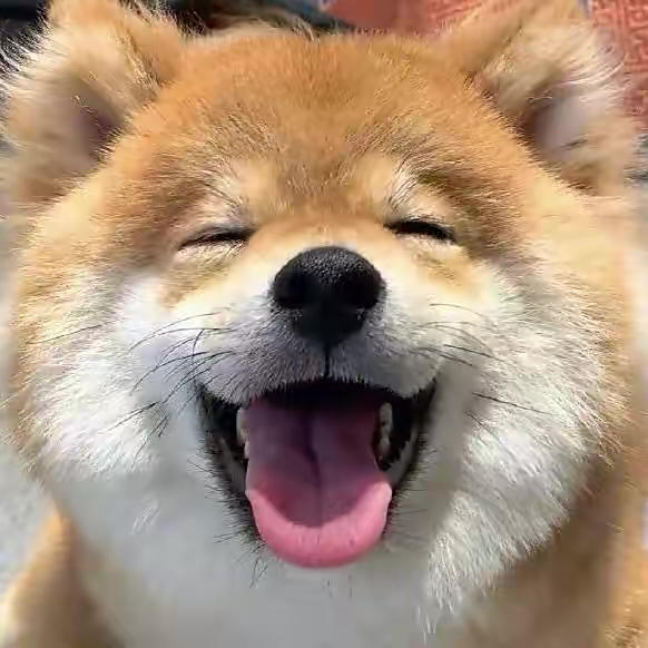 苗苗的家常菜
