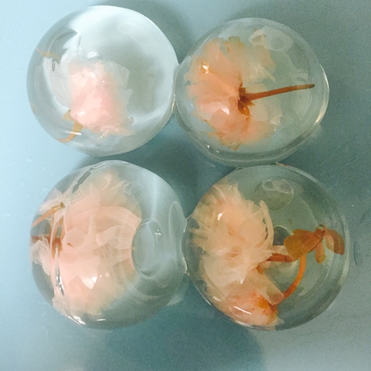 樱花水信玄饼