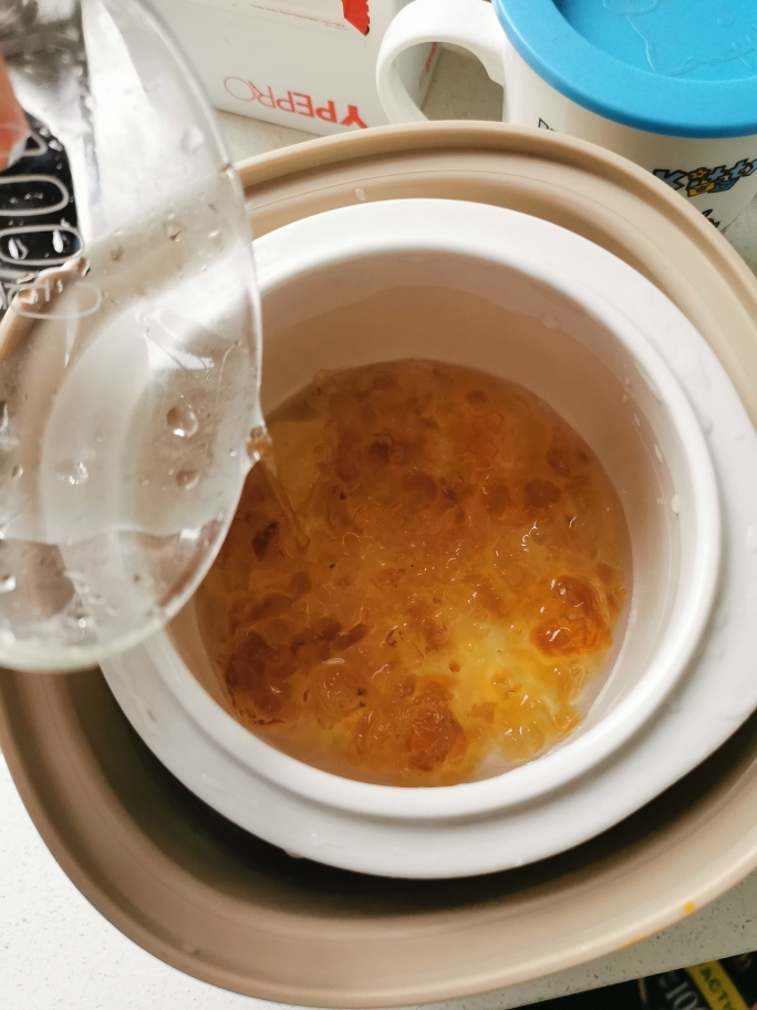 桃胶炖奶的做法 步骤2
