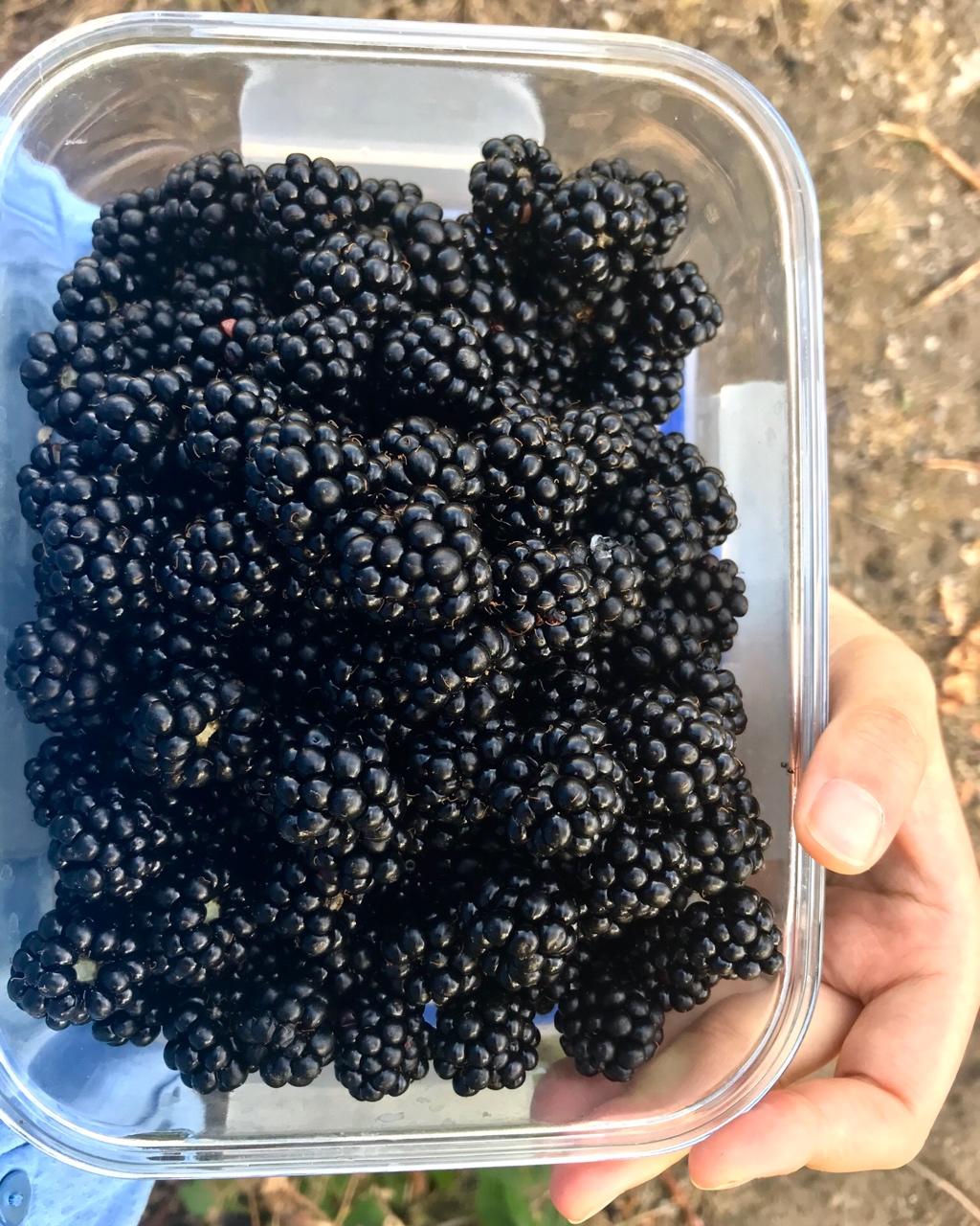 Dies und das und dann noch einiges