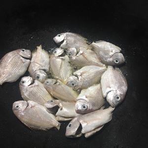 奶白海鱼汤的做法 步骤1