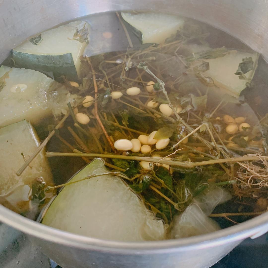 狗肝菜黄豆冬瓜茶