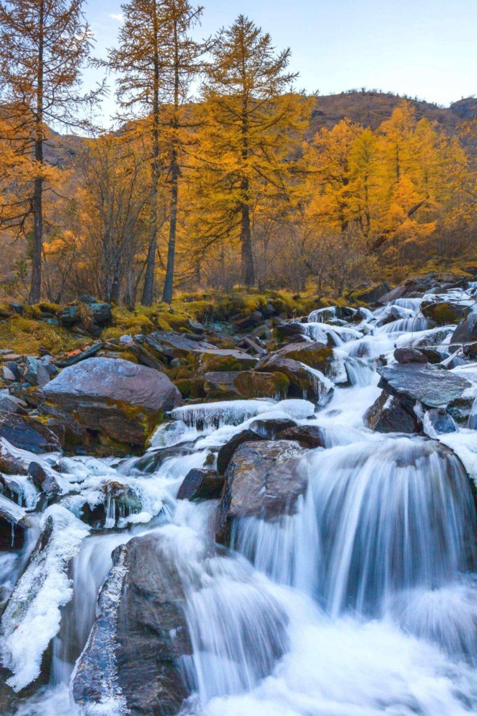 玛格丽特小饼干