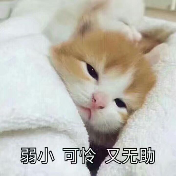 cocococ