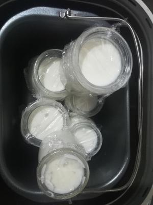 自制酸奶（面包机版、电饭煲版&双歧杆菌版、酸奶版）、蜜豆酸奶、燕麦酸奶（可以拉丝的酸奶）、芒果酸奶~老酸奶的味道的做法 步骤16