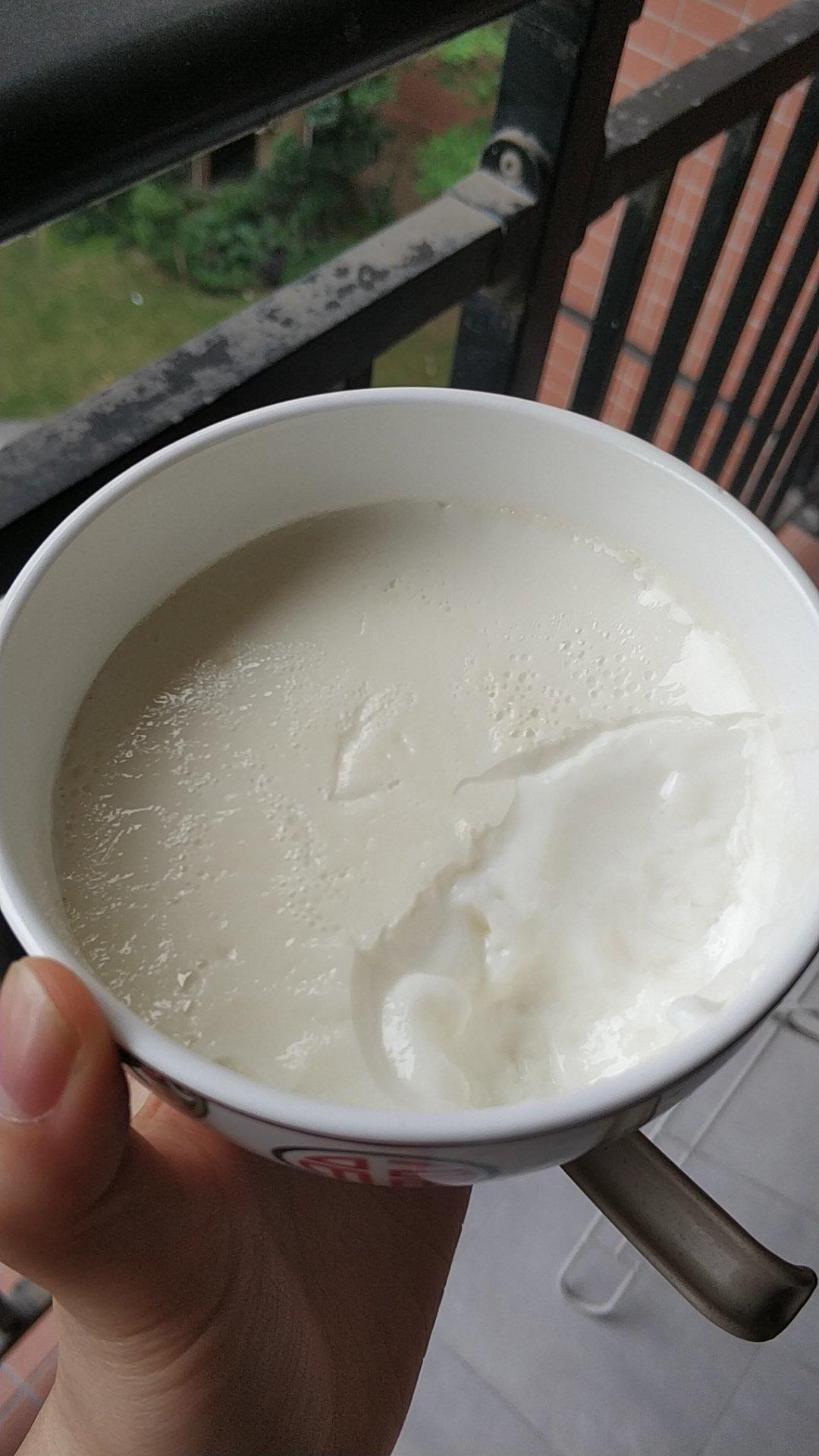 顺德双皮奶