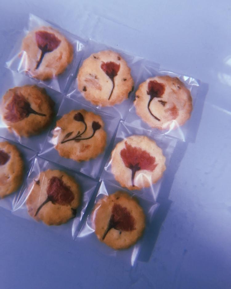 少女杀手/蔓越莓樱花曲奇