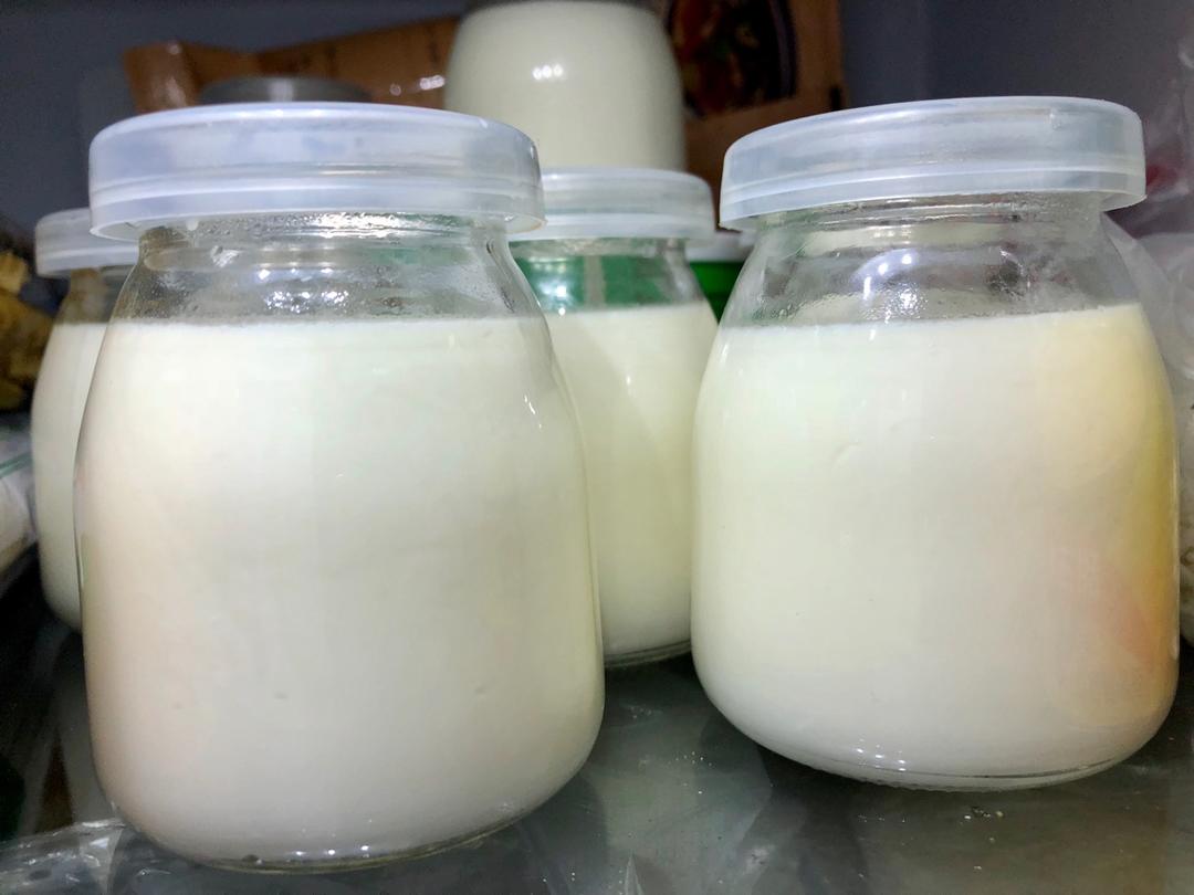 anitras做的淡奶油酸奶