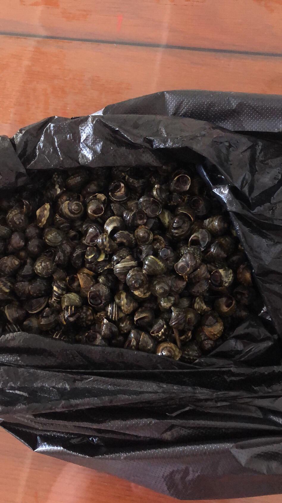 大连海波罗饺子