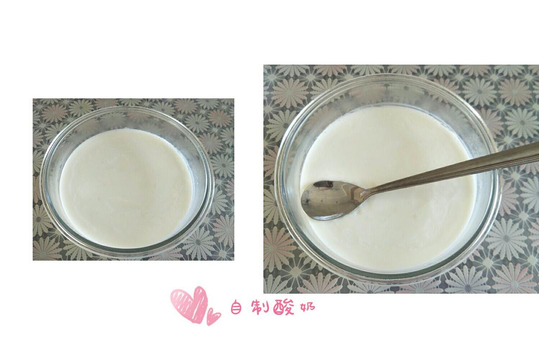 仅用牛奶+不插电电饭煲的自制酸奶！