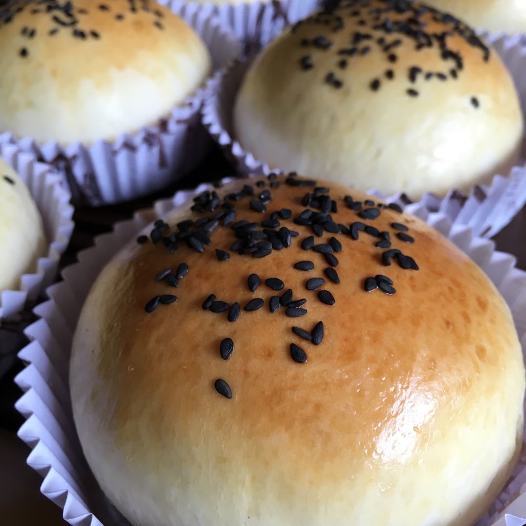 汉堡胚 poolish（波兰种）