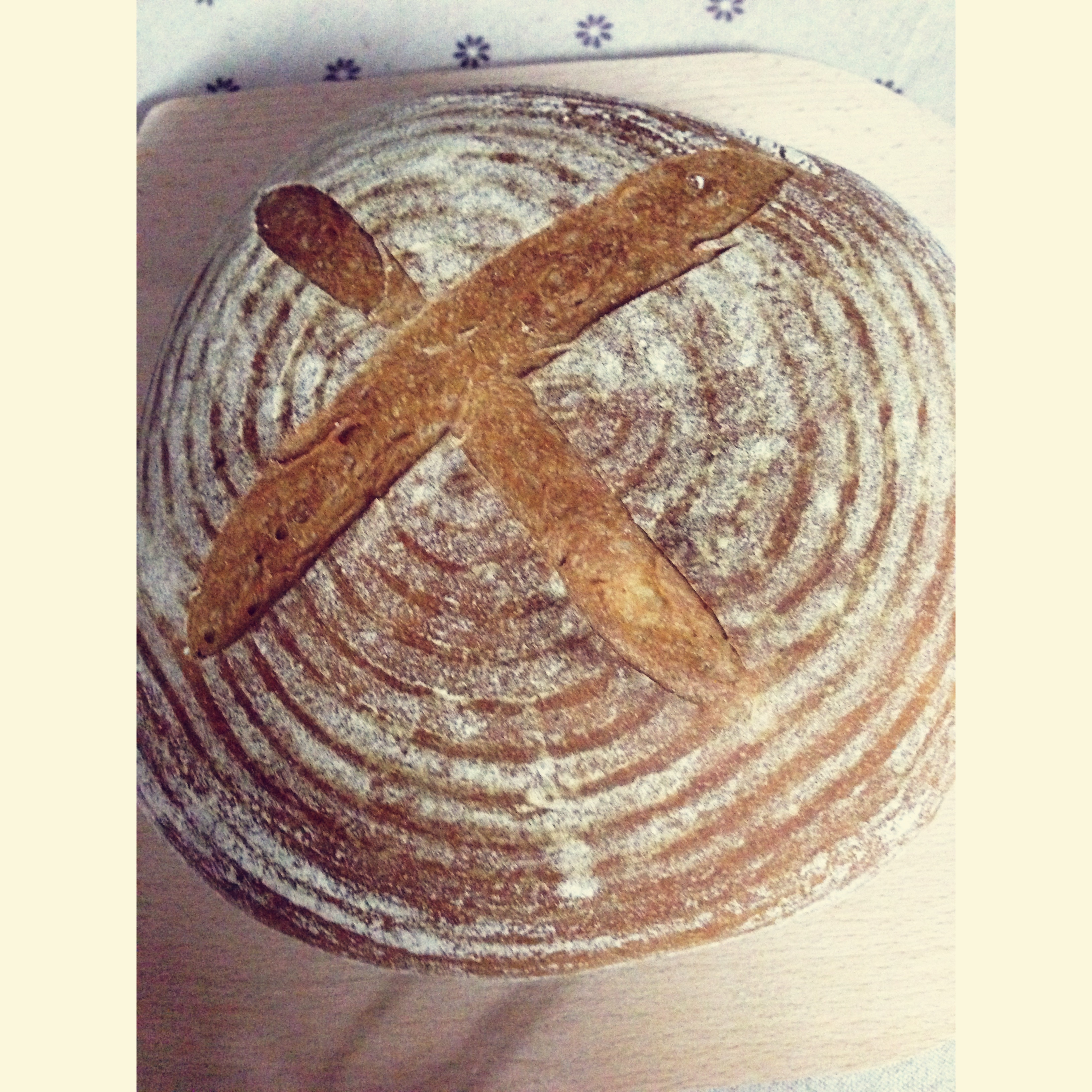 黑麦蔓越莓软欧包