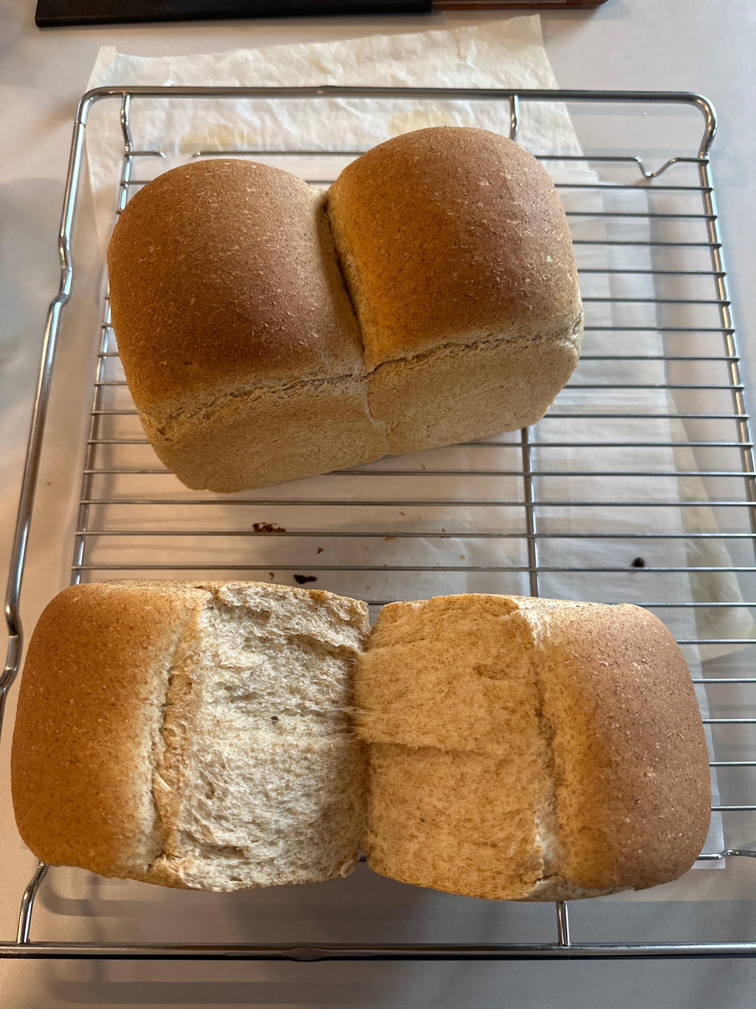 50%全麦吐司｜低糖低脂，吃起来不像是吃全麦的全麦吐司！