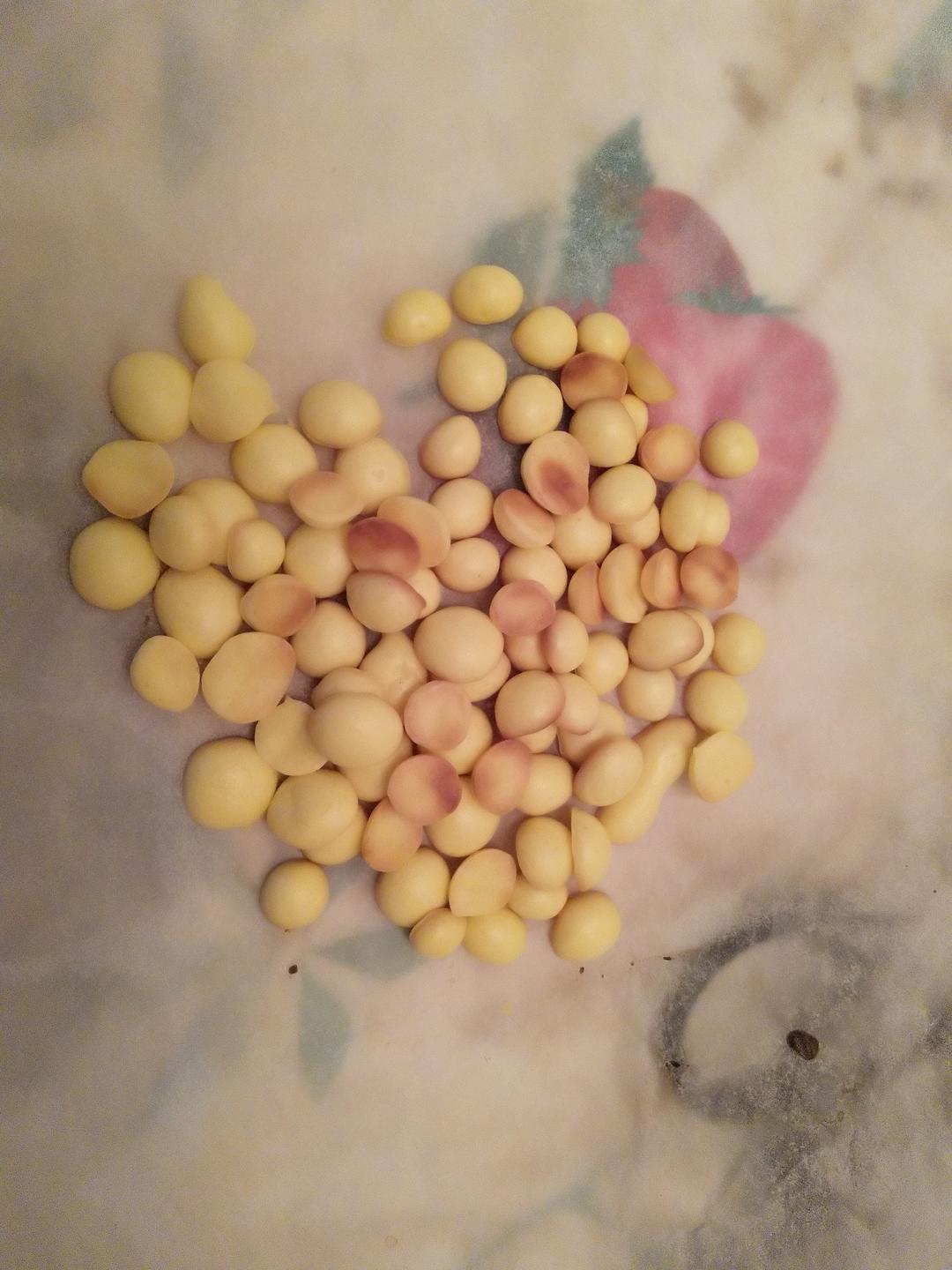 入口即化的无添加蛋黄溶豆