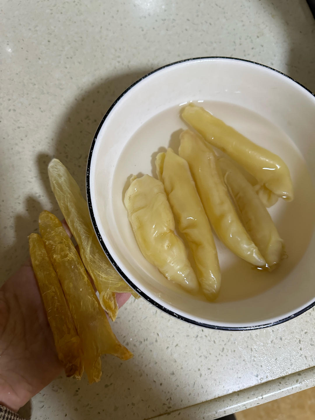 花胶泡发（新手学得会）