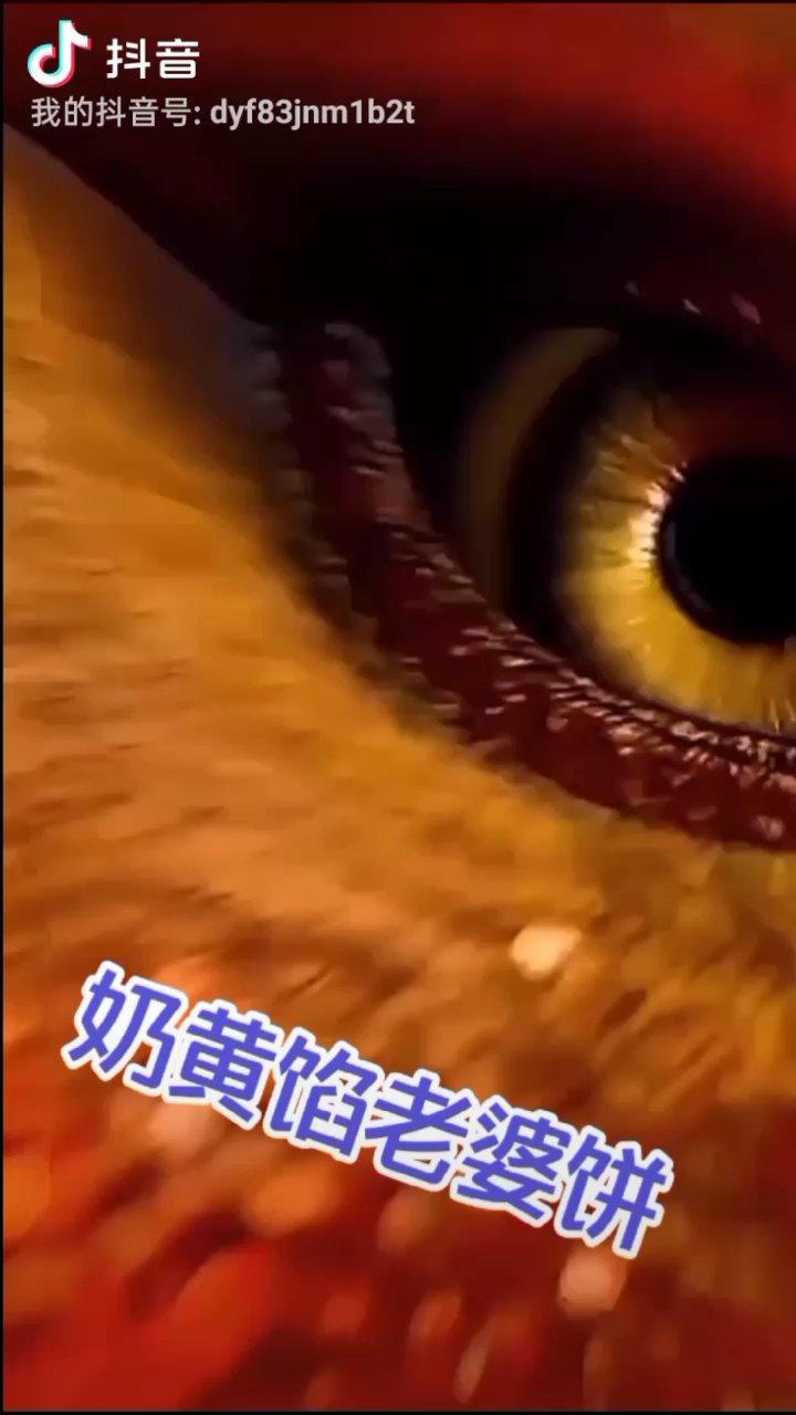 奶黄馅老婆饼【正宗美味0失败】