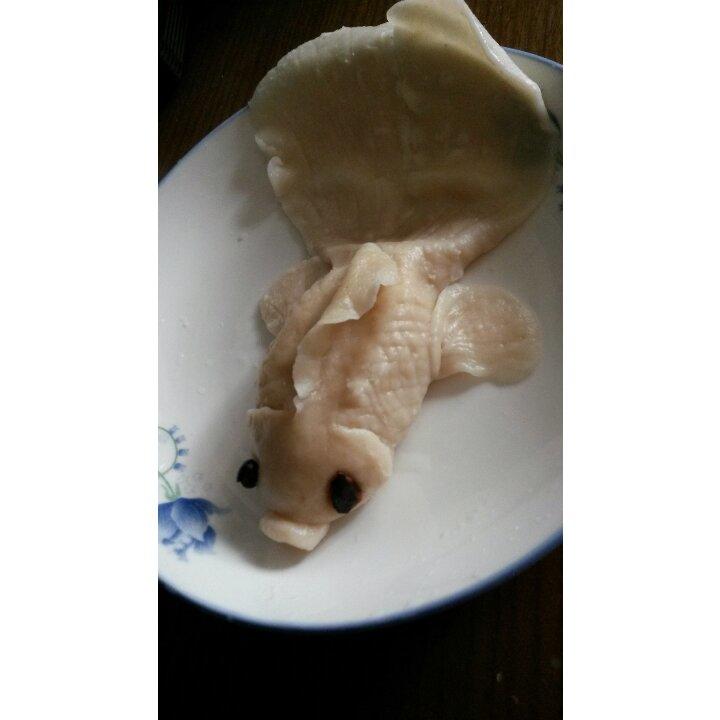 面鱼