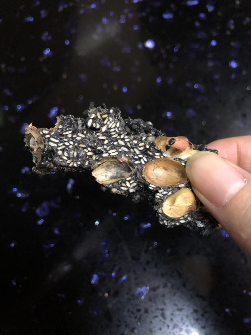 枸杞核桃花生黑芝麻片