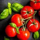 手机用户6862_1jvt