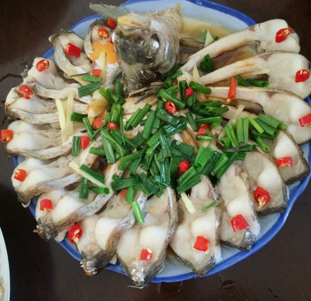 孔雀开屏鱼
