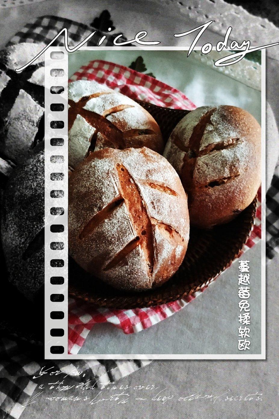 全麦蔓越莓软式欧包（免揉）