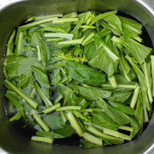 水煮白菜苔的做法 步骤1
