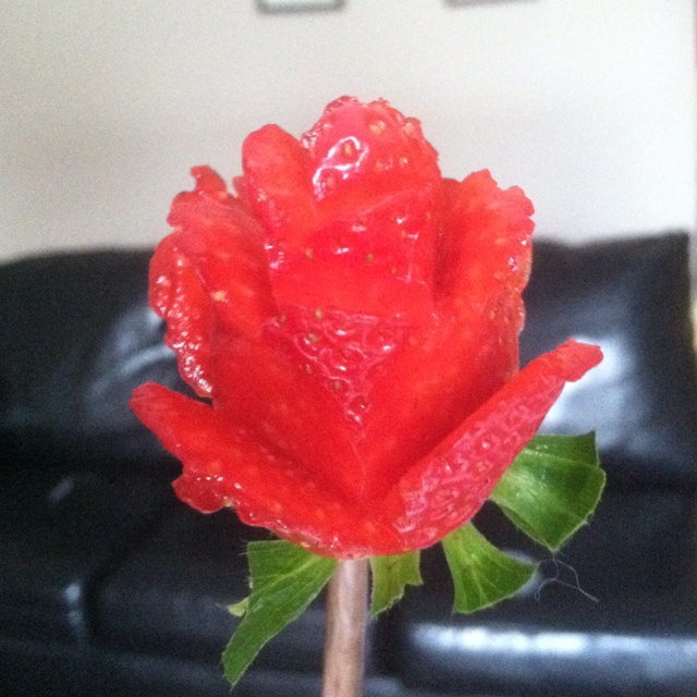 草莓玫瑰花