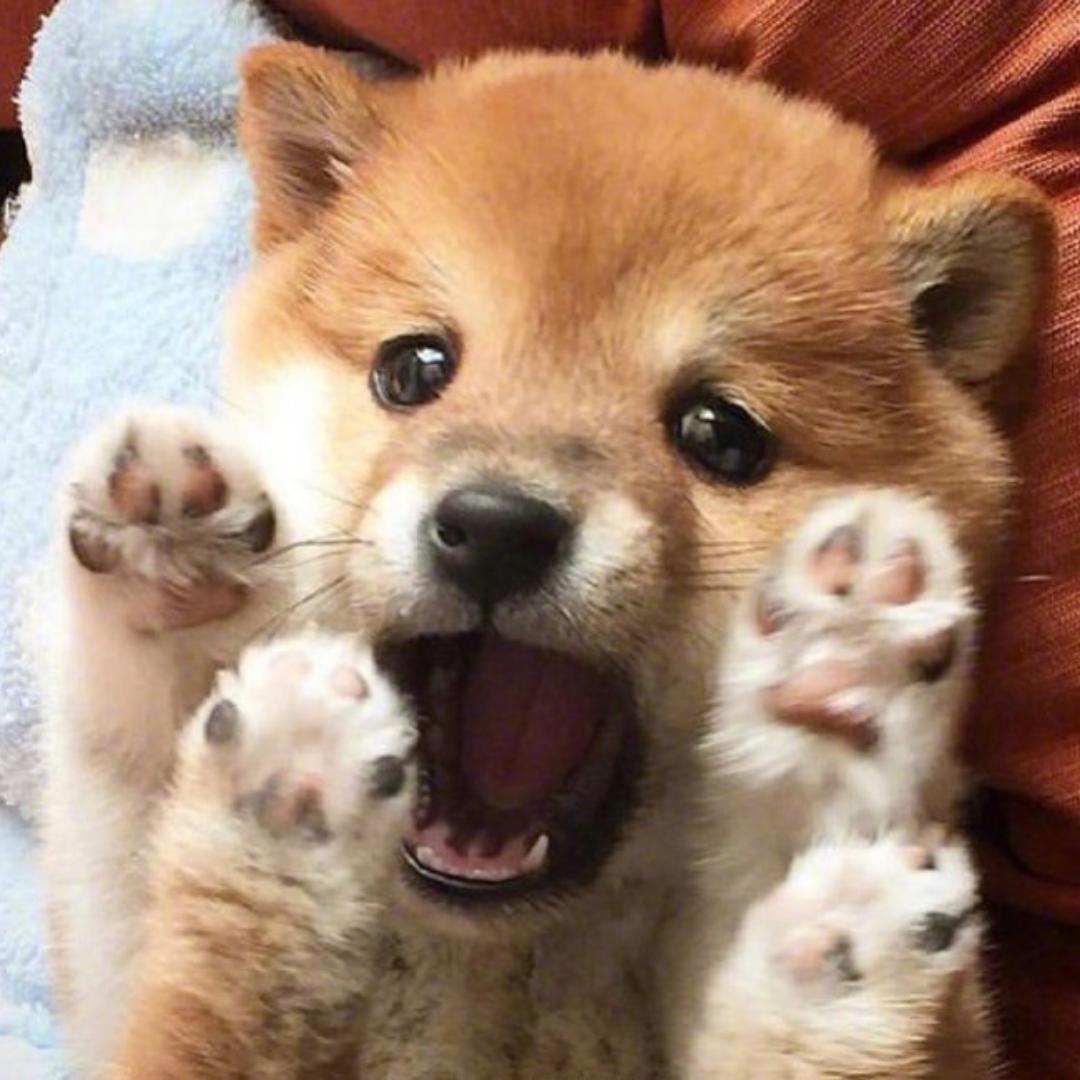 董懂LOVE生活