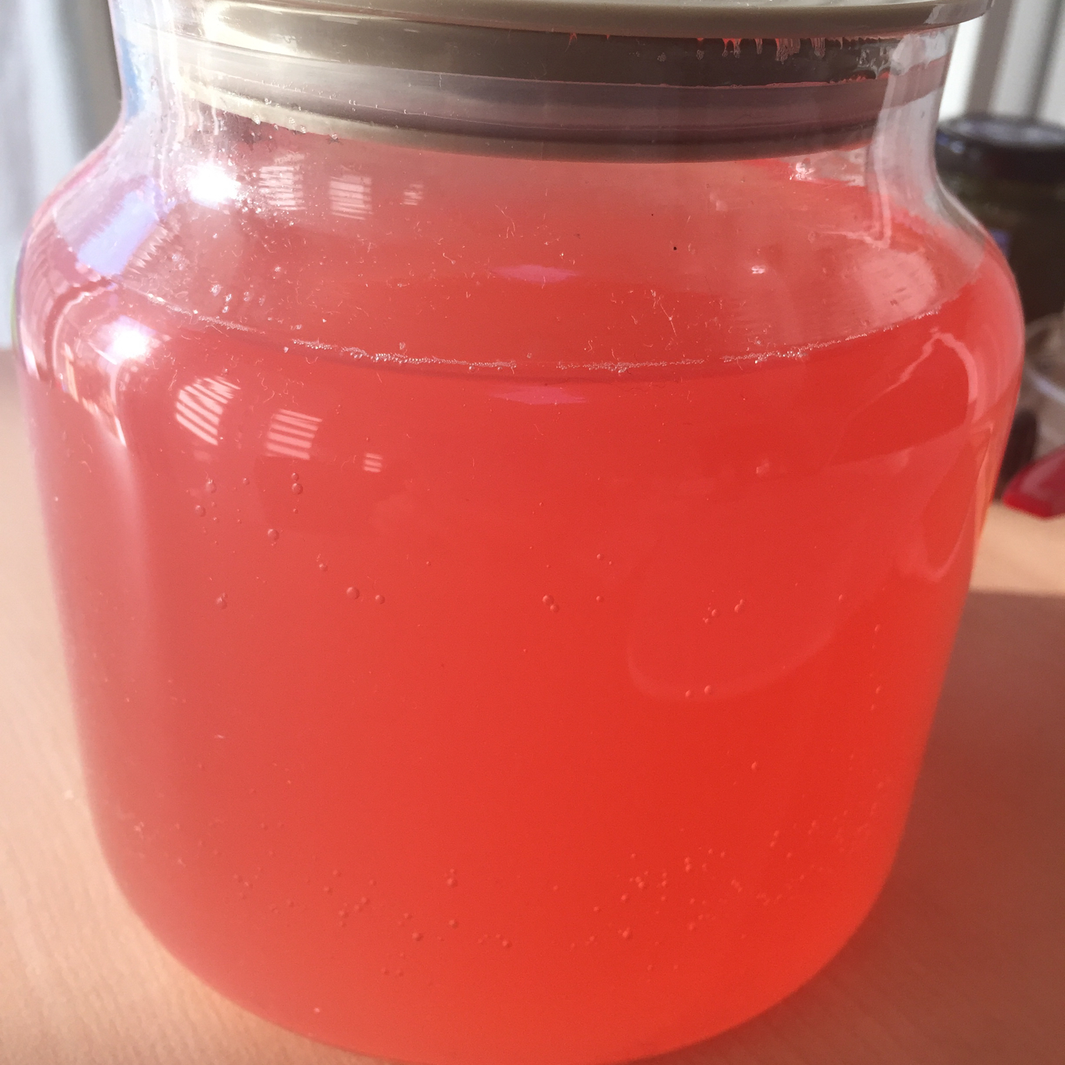 二月天晴做的葡萄酵素