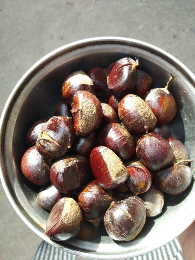 煮栗子（绍兴做法）