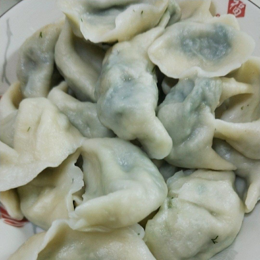 茴香苗水饺